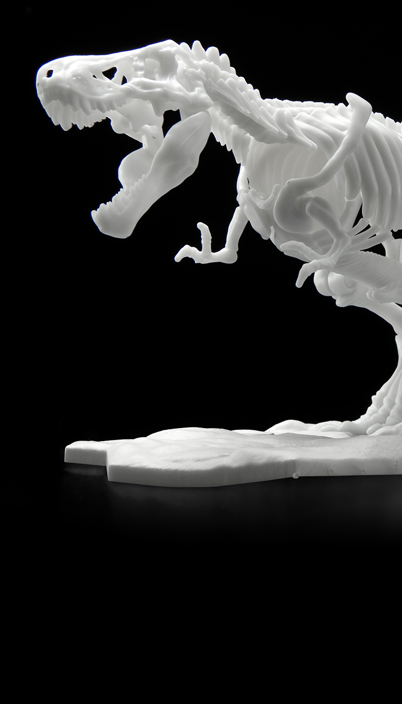 恐龙骨架塑料模型 霸王龙
