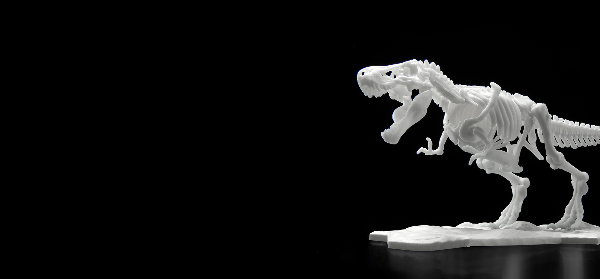 恐龙骨架塑料模型 霸王龙