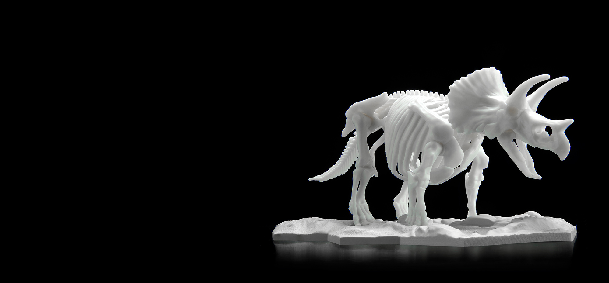 恐龙骨架塑料模型 三角龙