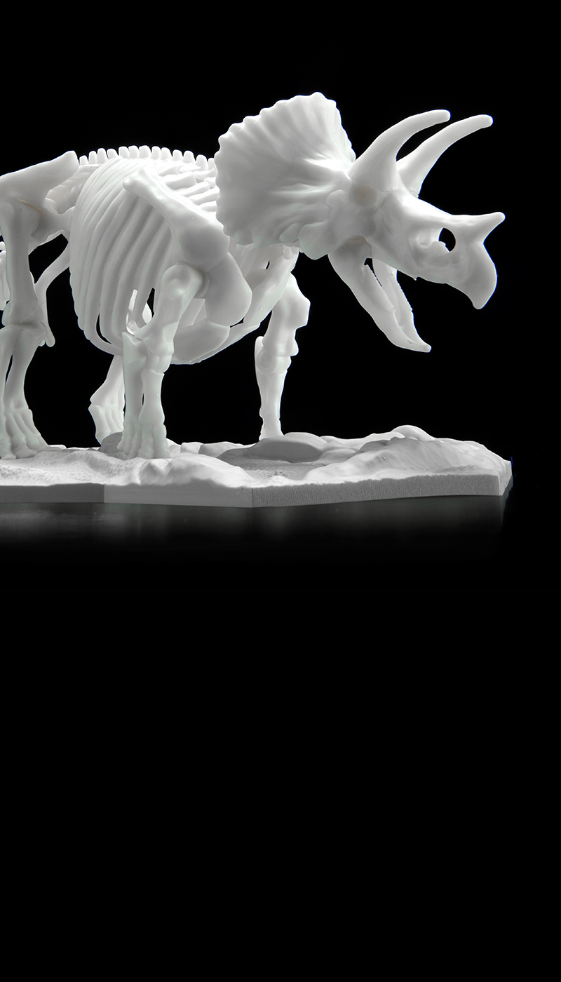 恐龙骨架塑料模型 三角龙