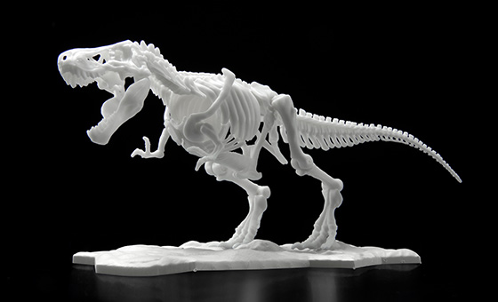 恐竜骨格プラモデル ティラノサウルス