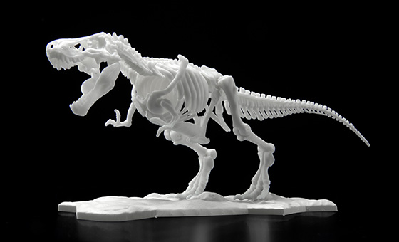 Dinosaur Skeleton Plastic Model Tyrannosaurus