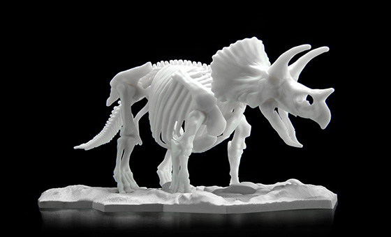 Dinosaur Skeleton Plastic Model Triceratops