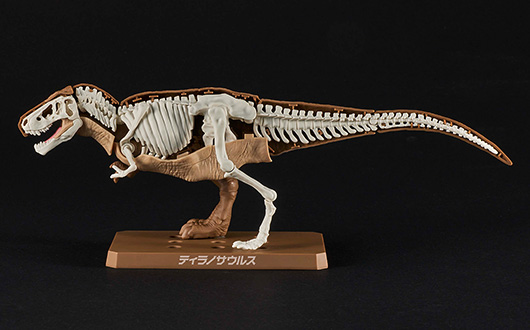 骨格を組み立てたあとに、外皮パーツを取り付けていくことで恐竜の体の構造や仕組みの理解を深められる