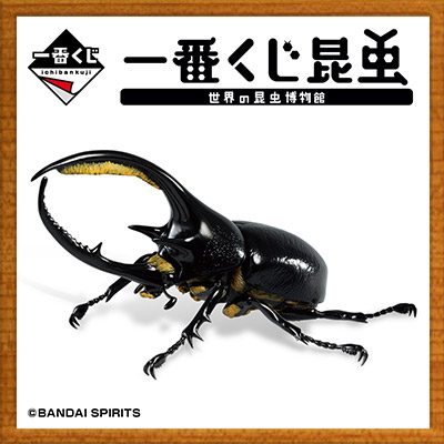 一番くじ昆虫 世界の昆虫博物館│株式会社BANDAI SPIRITS