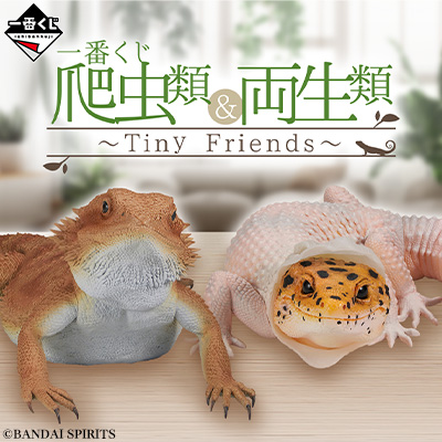 一番くじ 爬虫類＆両生類～Tiny Friends～