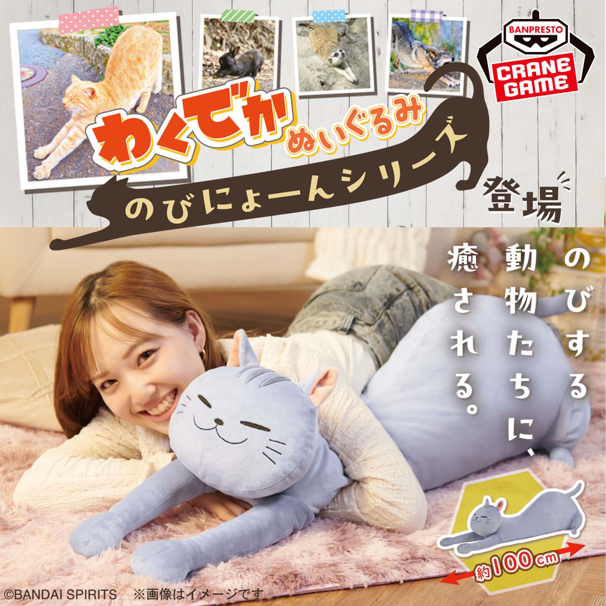 わくでかぬいぐるみ のびにょーんシリーズ～猫～│株式会社BANDAI 
