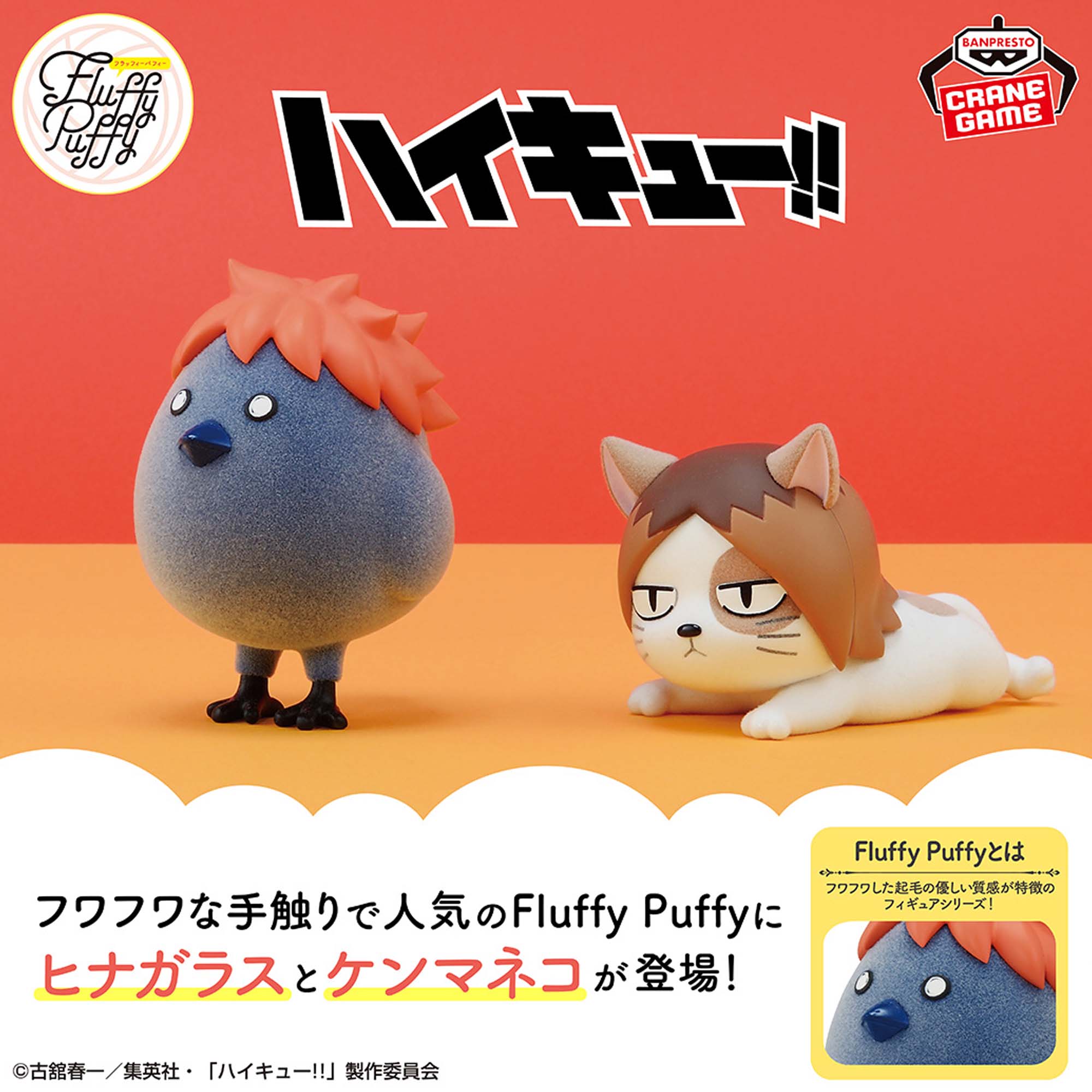 ハイキュー!! Fluffy Puffy～ヒナガラス＆ケンマネコ～│株式会社 