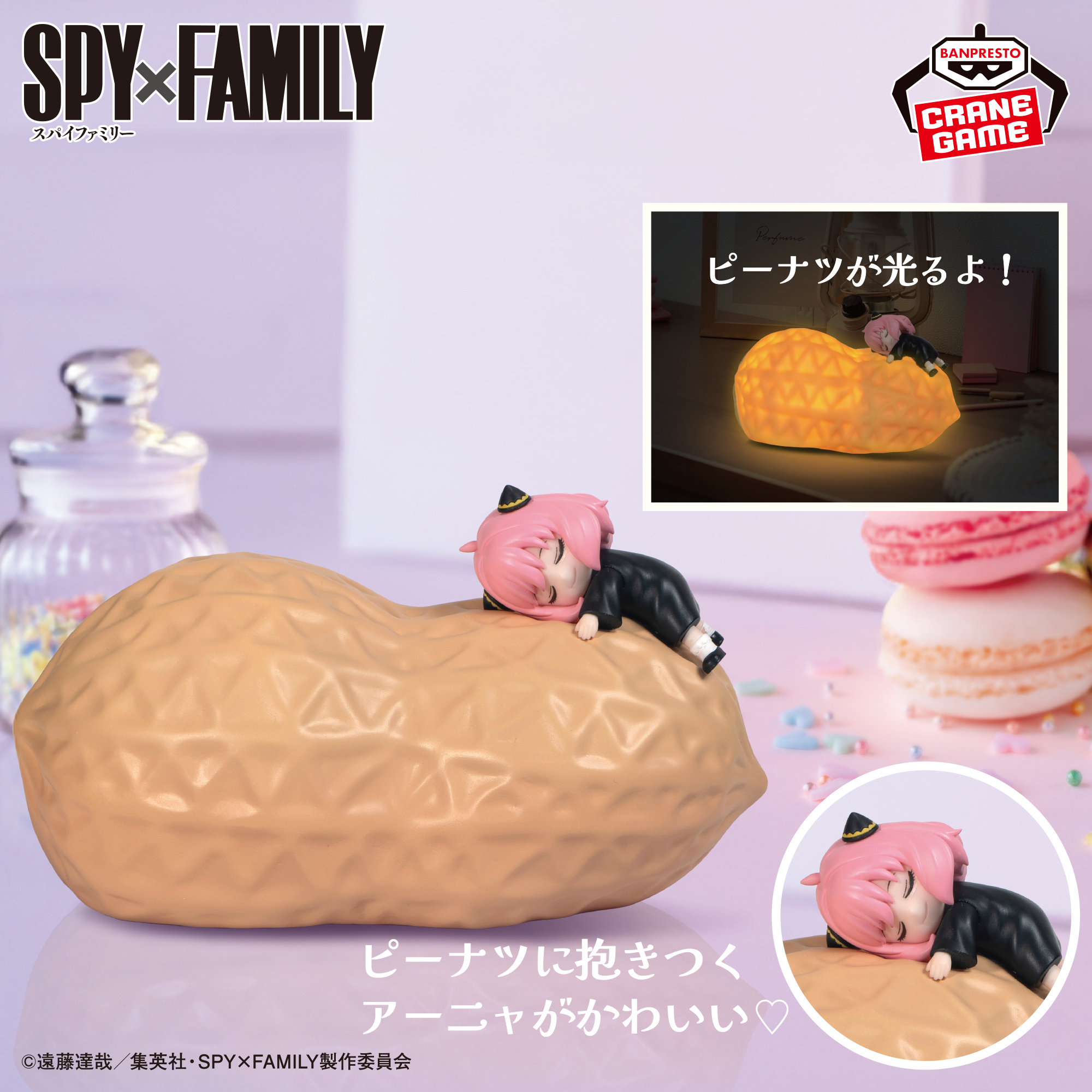SPY×FAMILY ピーナツルームライト～アーニャ・フォージャー～│株式 