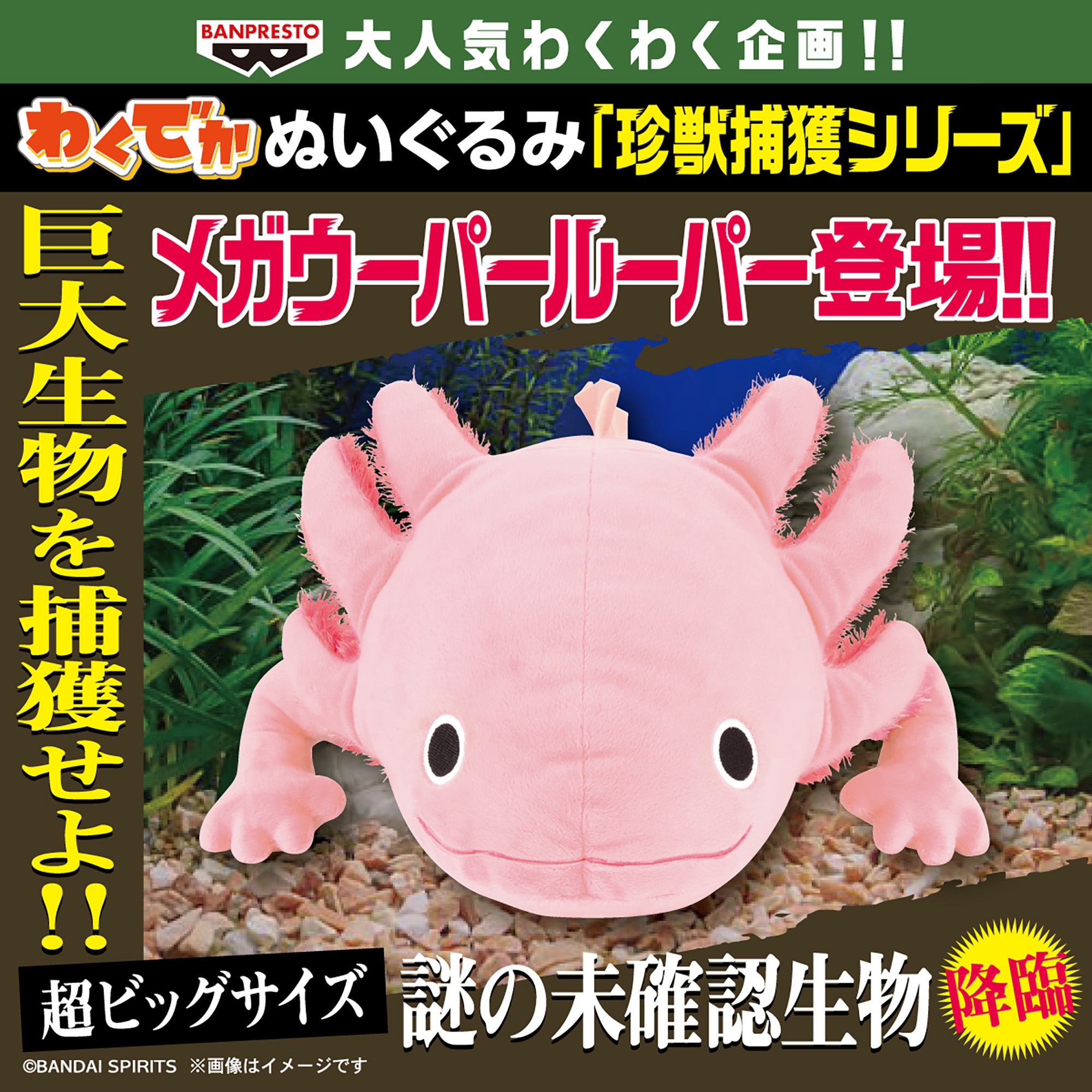 わくでかぬいぐるみ 珍獣捕獲シリーズ～メガウーパールーパー～│株式 