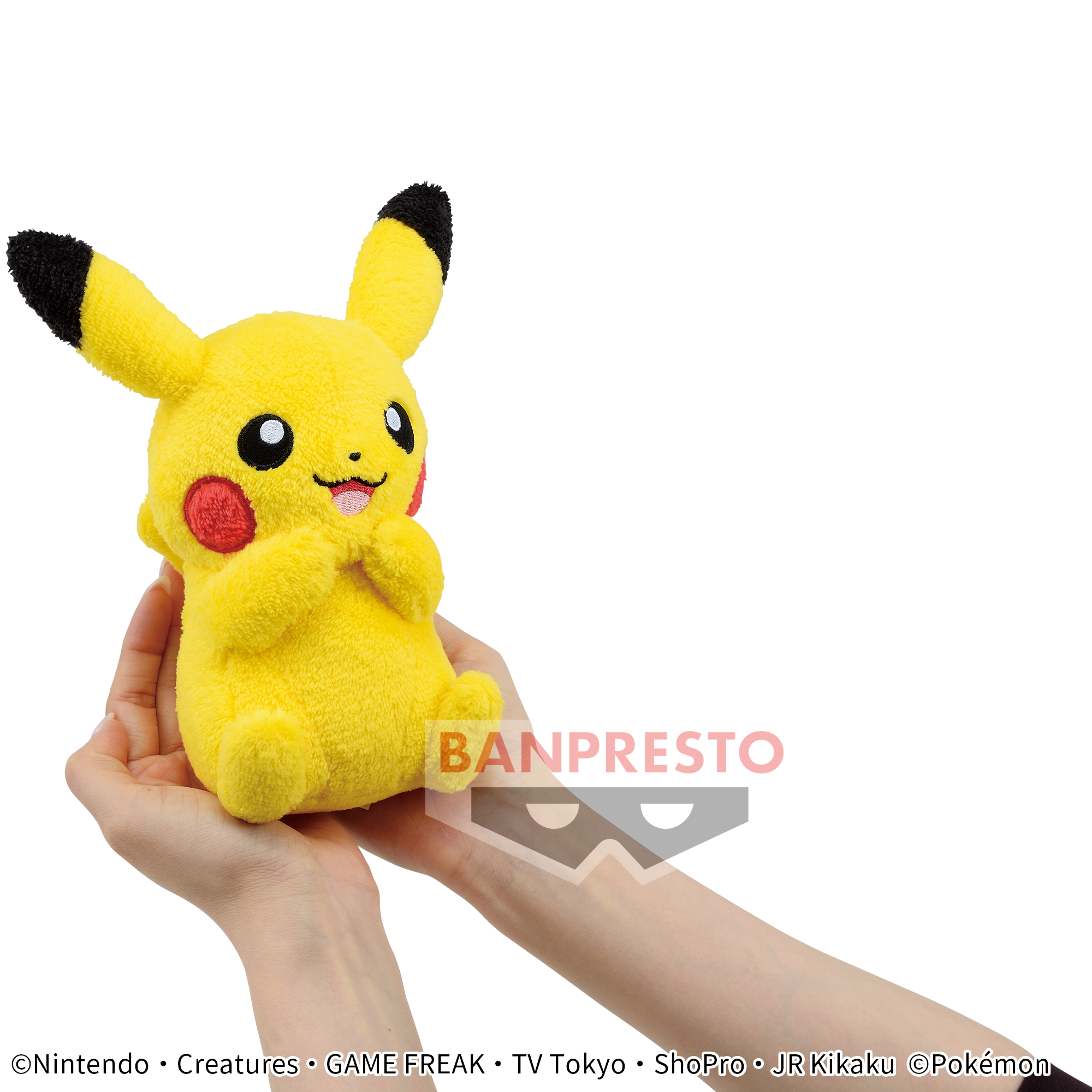 ポケットモンスター やさしいきもち ぬいぐるみ～ピカチュウ