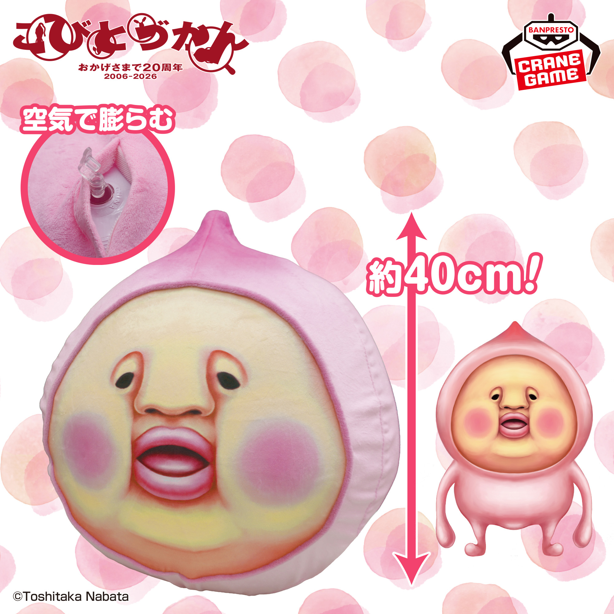 こびとづかん エアぐるみ