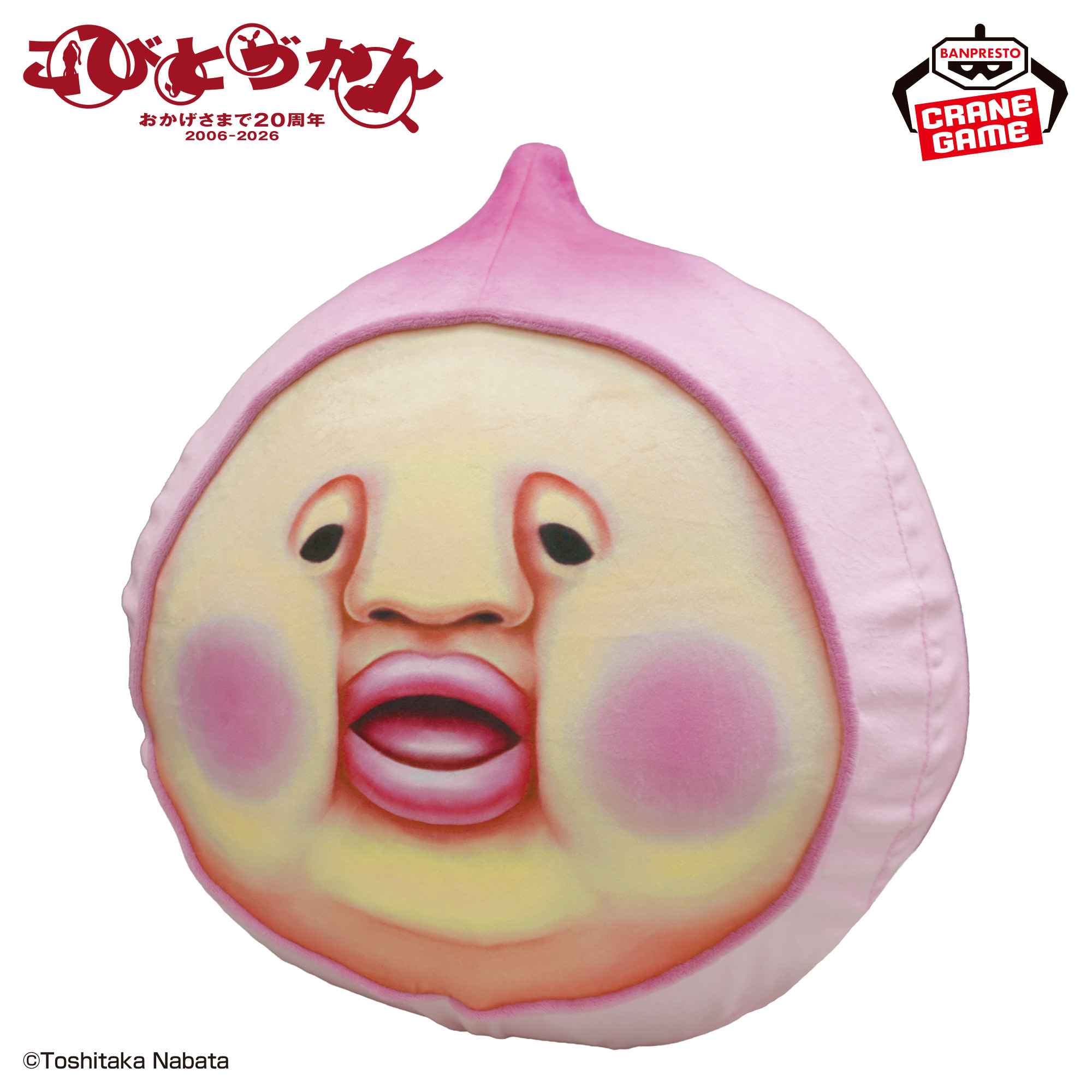 こびとづかん エアぐるみ