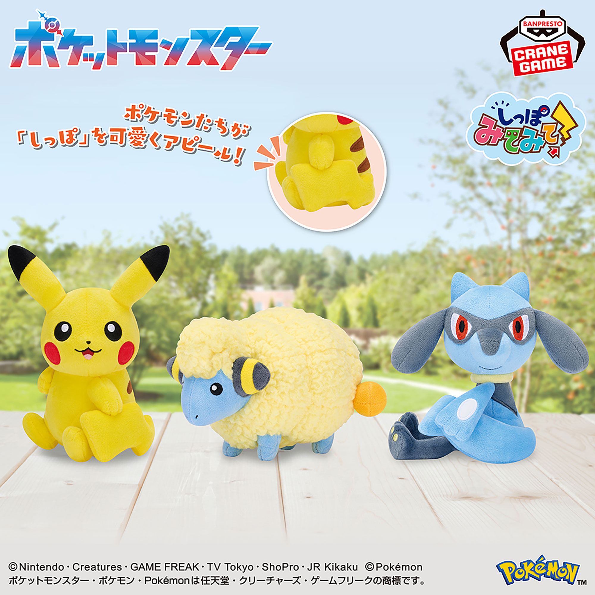 ポケットモンスター しっぽみてみて！ぬいぐるみ～ピカチュウ・メリープ・リオル～